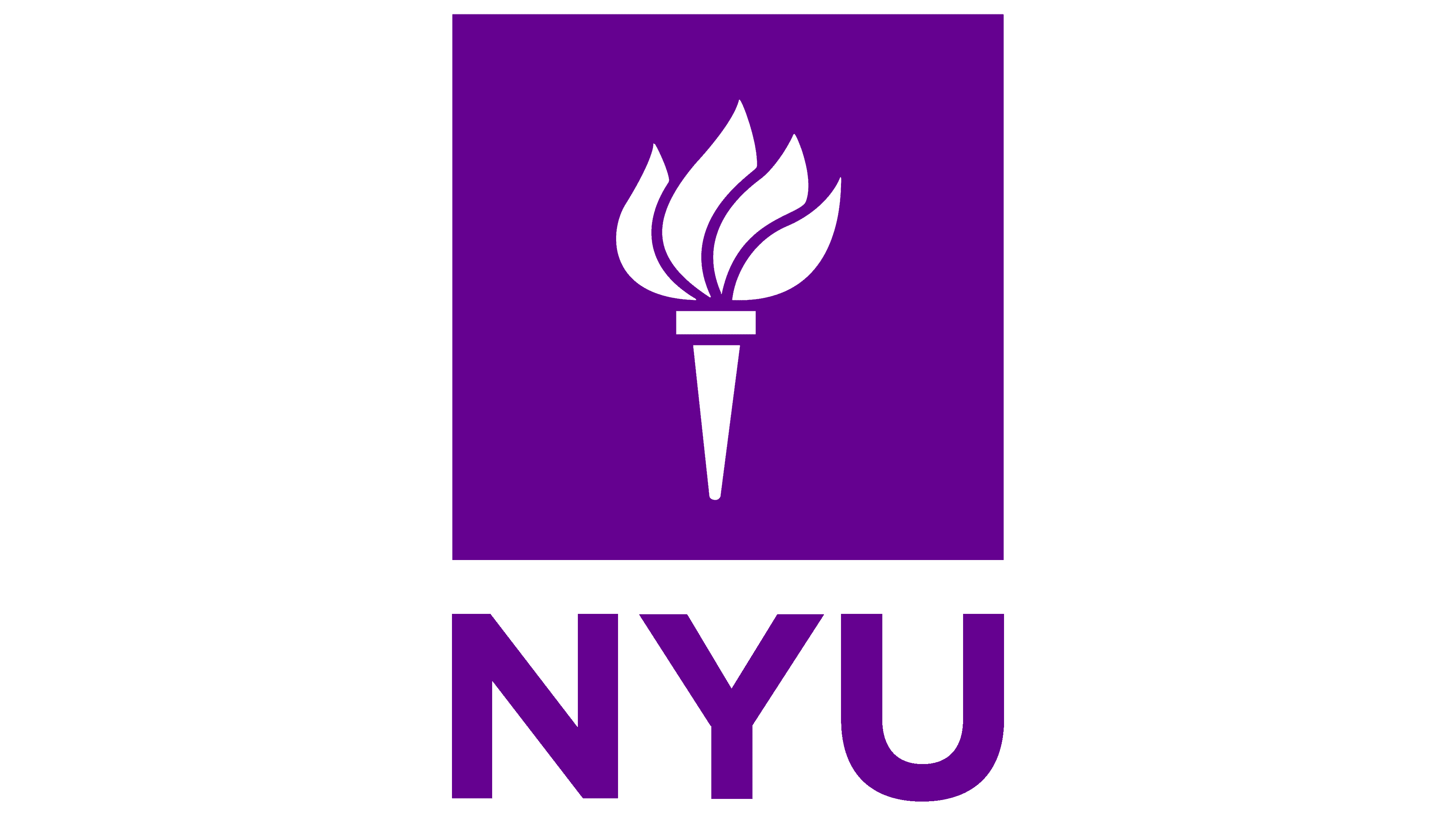 NY University 